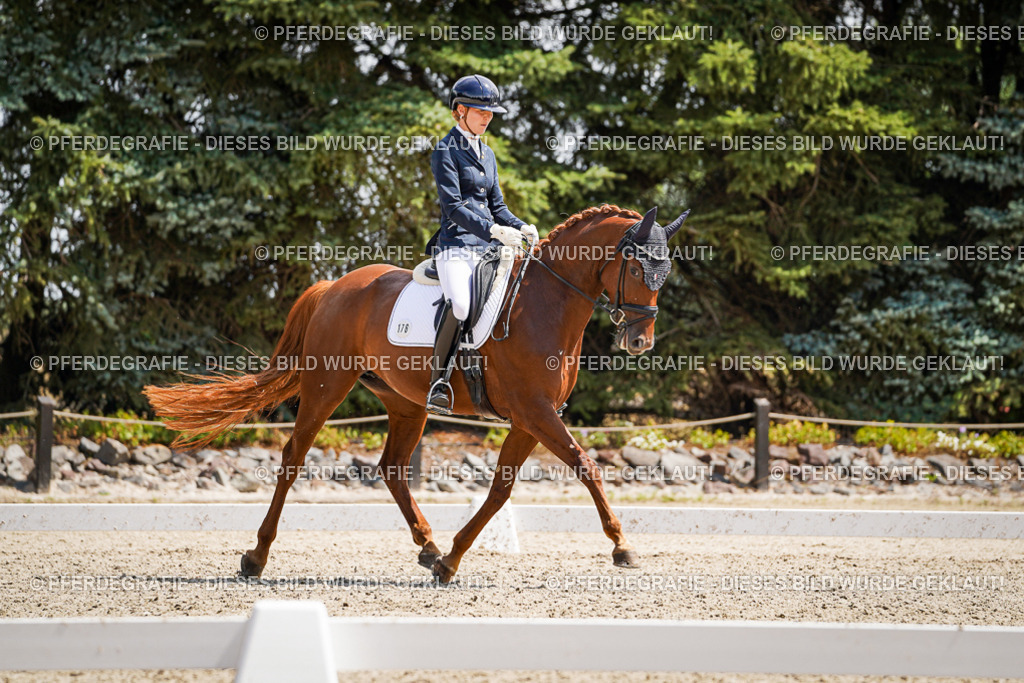 DSC00973 | Pferdegrafie