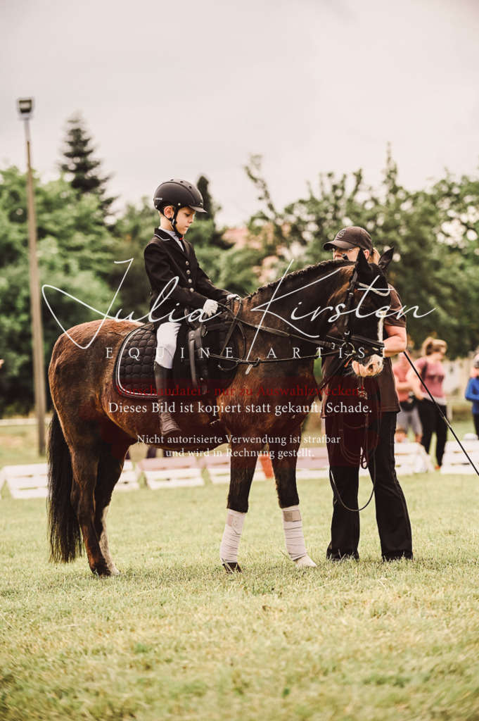 DSC_5353 | Pferde- und Turnierfotografie in Westsachsen. Pferdeportraits, Auftragszeichnungen und intuitive Kunst.