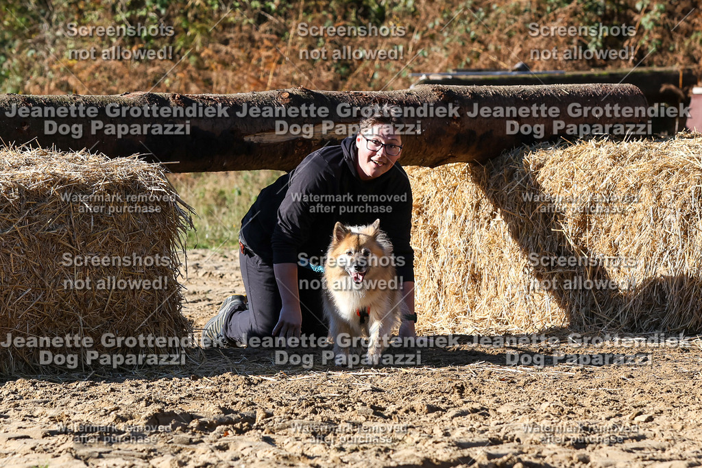 Dog Paparazzi - Strongdog 10-25-2462 | Dog Paparazzi Jeanette Grottendiek Fotografie & Videografie - Realisiert mit Pictrs.com