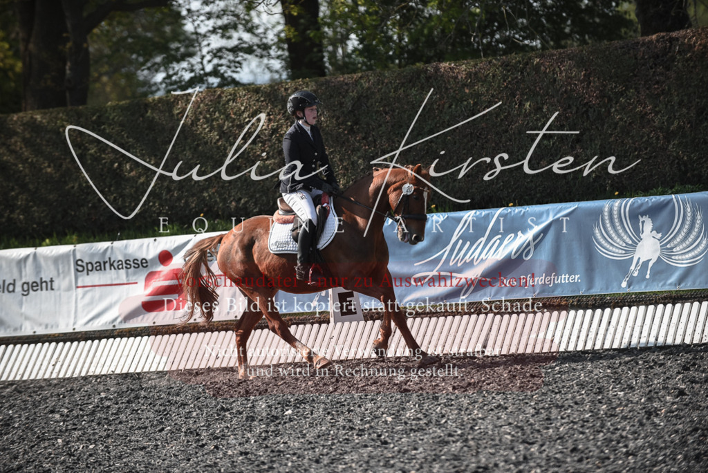 20230513_JK-Röhrsdorf-14-047 | Pferde- und Turnierfotografie in Westsachsen. Pferdeportraits, Auftragszeichnungen und intuitive Kunst.