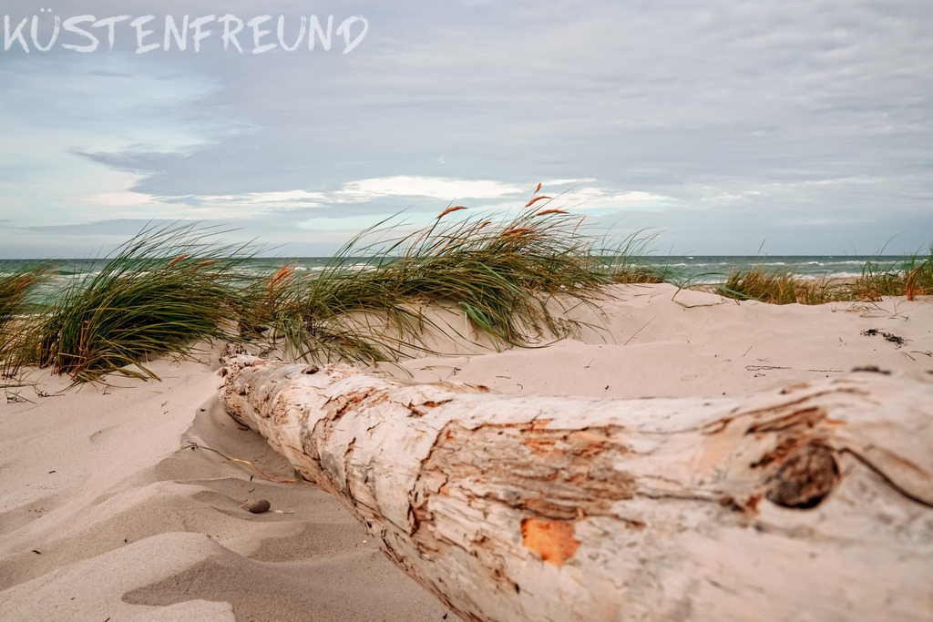 Weststrand - Fischland-Darss-Zingst | Entdecke deine Lieblingslandschaft von der Küste – auf Ostsee Leinwand, Nordsee Leinwand, Alu Dibond oder Acrylglas, passend für jeden Geschmack und Raum.