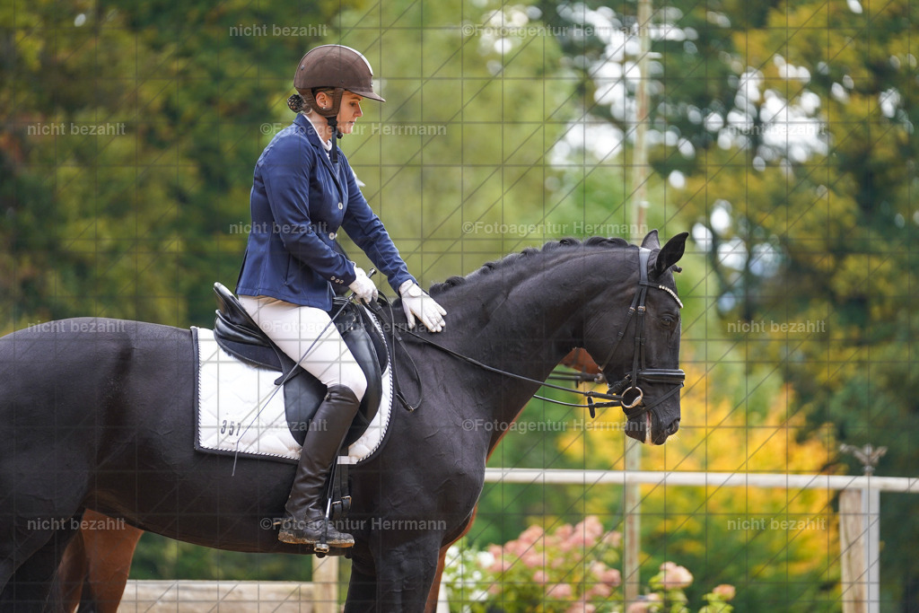 20221008-FAH01007 | Diessen am Ammersee, 2022, Dressur- und Springturnier, Reitsportbilder, Turnierfotografen Bayern, Pferdefotografen, Fotoagentur Herrmann, Turnierbilder