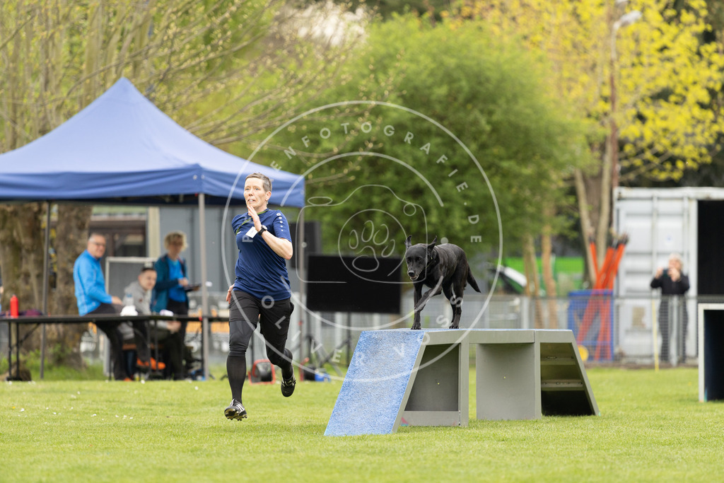 Pfotenfotografie_DV3A9196 | Hundefotografie, Tierfotograf, Pfotenfotografie, Fotoshooting Hund, Hunde Portrait, Hundesport, Hundeportraits, Heideshooting, Hunde, Sportfotograf, Hundefotograf, Turnierhundsport, THS,  - Realisiert mit Pictrs.com