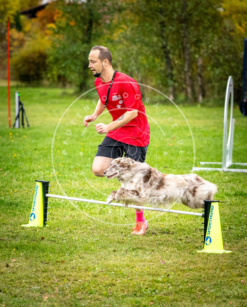 Pfotenfotografie_DV3A0967 | Hundefotografie, Tierfotograf, Pfotenfotografie, Fotoshooting Hund, Hunde Portrait, Hundesport, Hundeportraits, Heideshooting, Hunde, Sportfotograf, Hundefotograf, Turnierhundsport, THS,  - Realisiert mit Pictrs.com