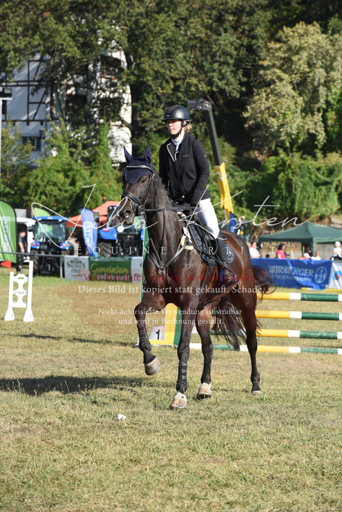 DSC_5390 | Pferde- und Turnierfotografie in Westsachsen. Pferdeportraits, Auftragszeichnungen und intuitive Kunst.