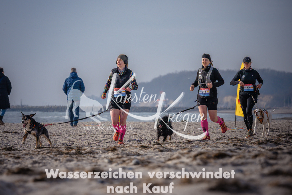 1005_ZZ93921 | kk-dogfotos