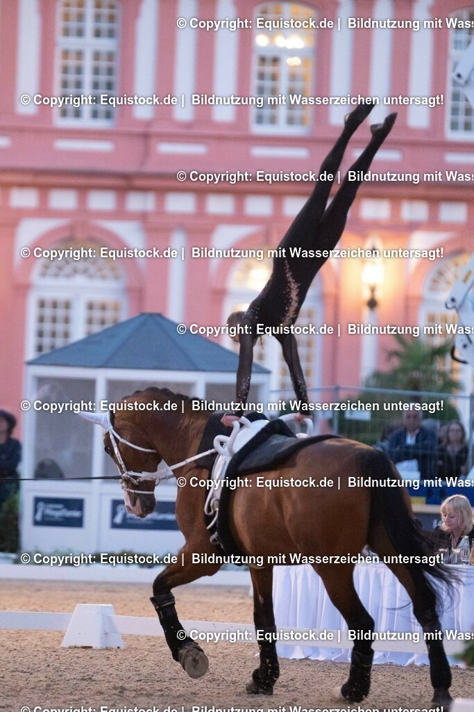 20230527_Voltigieren_NASPA_Flutlicht_0469 | equistock