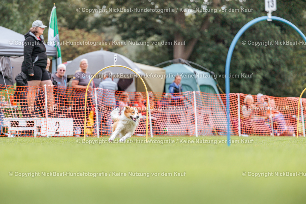 BSP Hoopers-H2-2026-Nickbest-Hundefotografie-TuS Komet Arsten e.V.-5637 | Dein Hund! Dein Moment! Deine Erinnerungen! Hundefotografie in Bremen Blumenthal. Ich fange die besonderen Momente deines Vierbeiners ein – ob Indoor mit Blitzanlage oder in der freien Natur. Sicher dir dein Moment und dein Termin für eure Erinnerungen.