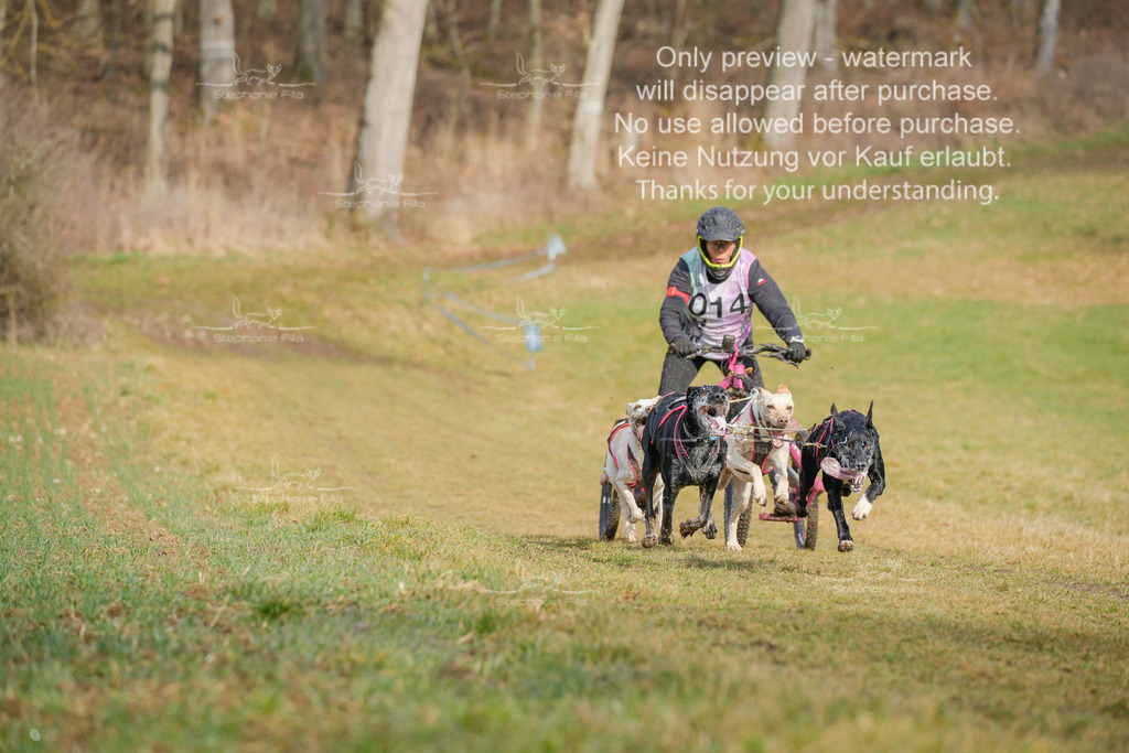 Sa_Gespanne-31 | stephaniefillaphotographie - Realisiert mit Pictrs.com