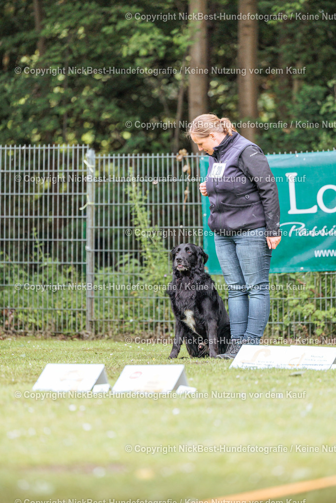 RO-Blumenthal-2026-Nickbest-Hundefotografie-4608 | Dein Hund! Dein Moment! Deine Erinnerungen! Hundefotografie in Bremen Blumenthal. Ich fange die besonderen Momente deines Vierbeiners ein – ob Indoor mit Blitzanlage oder in der freien Natur. Sicher dir dein Moment und dein Termin für eure Erinnerungen.