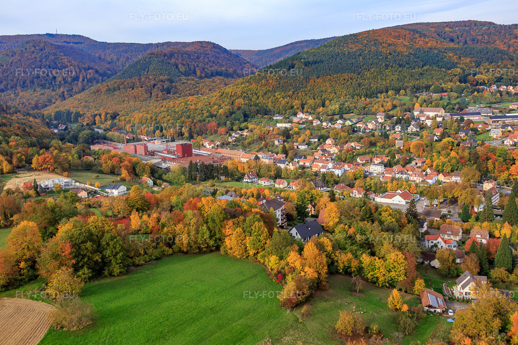 Vue aérienne: Vue de la ville depuis le sud à Niederbronn-les-Bains dans le département Bas Rhin, France – .Photo: IMG_084757.jpg prise le 24/10/2015 par Werner Riehm/FLY-FOTO.eu – Résolution de l'original: 5472 x 3648 px