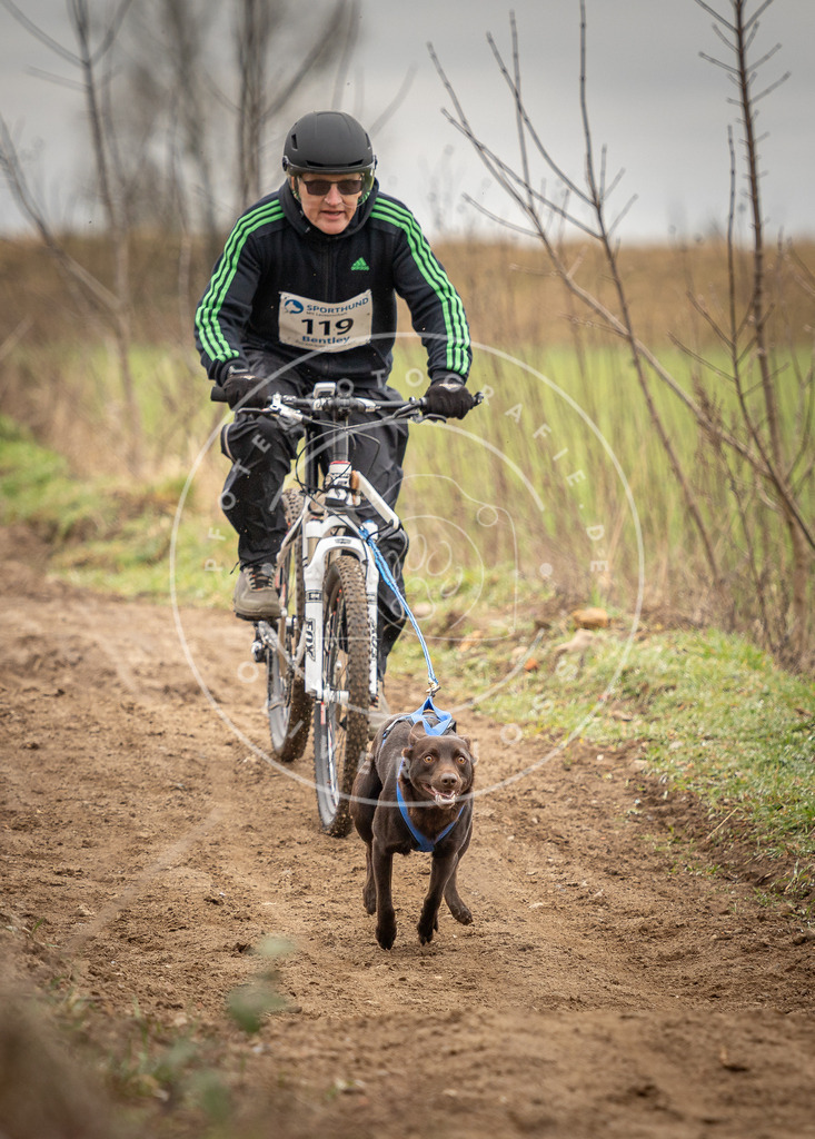 DV3A0886 | Hundefotografie, Tierfotograf, Pfotenfotografie, Fotoshooting Hund, Hunde Portrait, Hundesport, Hundeportraits, Heideshooting, Hunde, Sportfotograf, Hundefotograf, Turnierhundsport, THS,  - Realisiert mit Pictrs.com