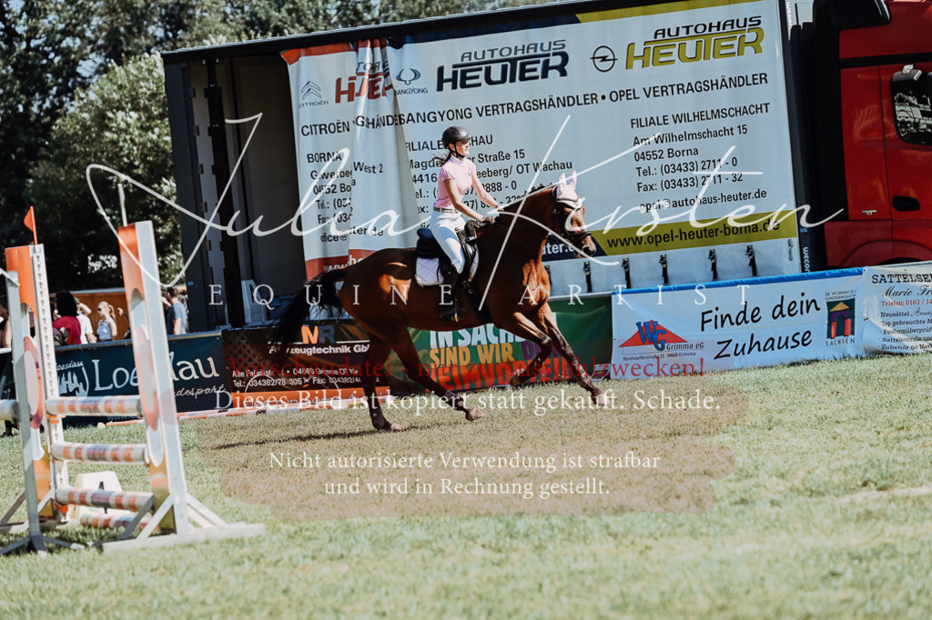 DSC_6541 | Pferde- und Turnierfotografie in Westsachsen. Pferdeportraits, Auftragszeichnungen und intuitive Kunst.
