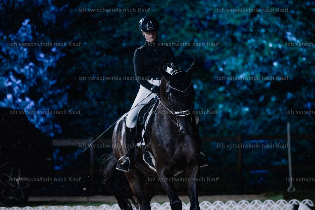 FHClassics-109 | working equitationturnier fotograf videograf stoibphotography marixx film working equitation deutschland reitsport turnierfotografie eventfotografie equestrian events