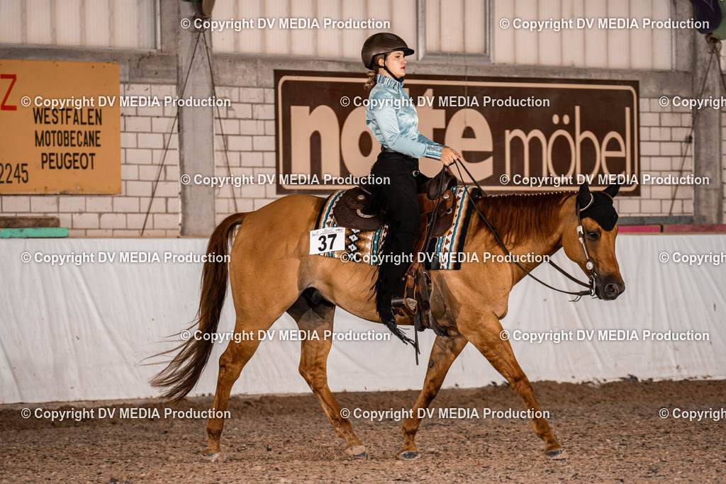 ZH300020 | dv-media-shop - Realisiert mit Pictrs.com