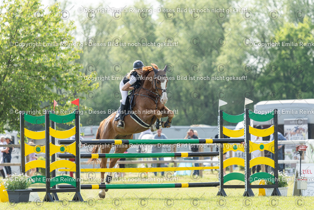 CL5A0193 | Emilia Reinking Fotografie - Realisiert mit Pictrs.com