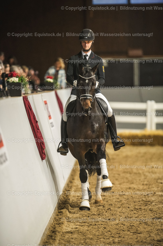 20240302_Hengstvorstellung_Marbach_TOMsPiC_0383 | equistock