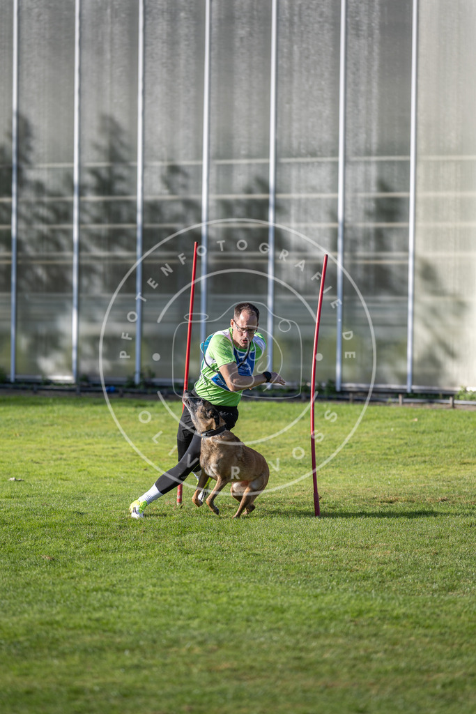 Pfotenfotografie.de_DV3A3354 | Hundefotografie, Tierfotograf, Pfotenfotografie, Fotoshooting Hund, Hunde Portrait, Hundesport, Hundeportraits, Heideshooting, Hunde, Sportfotograf, Hundefotograf, Turnierhundsport, THS, canicross - Realisiert mit Pictrs.com