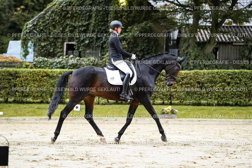 DSC07220 | Pferdegrafie