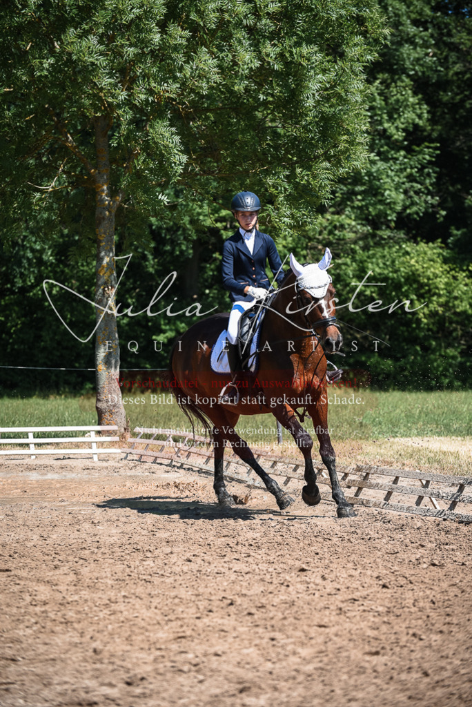 DSC_3494 | Pferde- und Turnierfotografie in Westsachsen. Pferdeportraits, Auftragszeichnungen und intuitive Kunst.