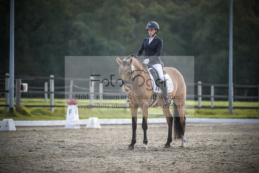 DOS_4313 | Entdecke hochwertige Reitturnierfotos von Foto Oger. Professionell, emotional und authentisch – jetzt Lieblingsmomente im Shop bestellen.Deutschlandweite Turnierfotografie. - Realisiert mit Pictrs.com