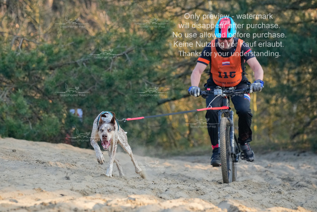 So_Bike-302 | stephaniefillaphotographie - Realisiert mit Pictrs.com