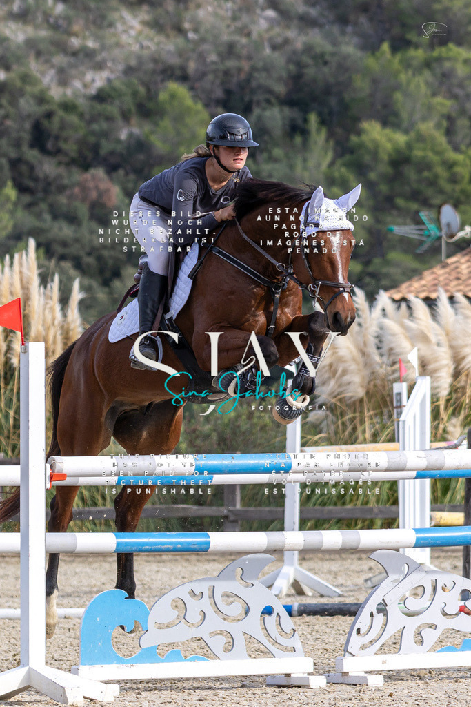 IMG_4181 | s-jay-photography - Realisiert mit Pictrs.com