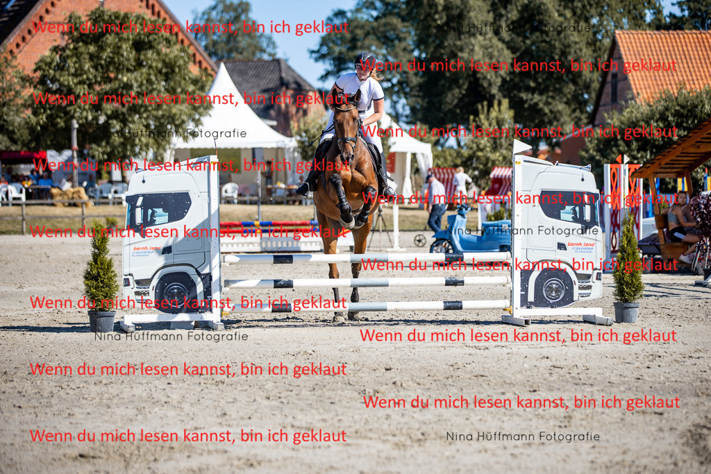BK1A7911 | Turnierbilder Turnierfotos Nina Hüffmann Turnierfotografie Pferdefotografie Tierzeichnung Haustierzeichnung Pferdezeichnung Hundezeichnung Videograf  - Realisiert mit Pictrs.com