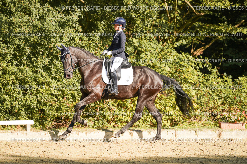 DSC06279 | Pferdegrafie