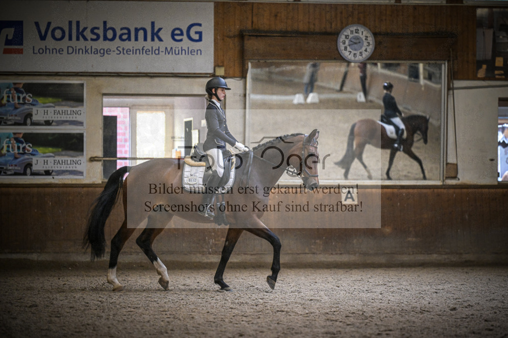 DOS_0048 | Entdecke hochwertige Reitturnierfotos von Foto Oger. Professionell, emotional und authentisch – jetzt Lieblingsmomente im Shop bestellen.Deutschlandweite Turnierfotografie. - Realisiert mit Pictrs.com