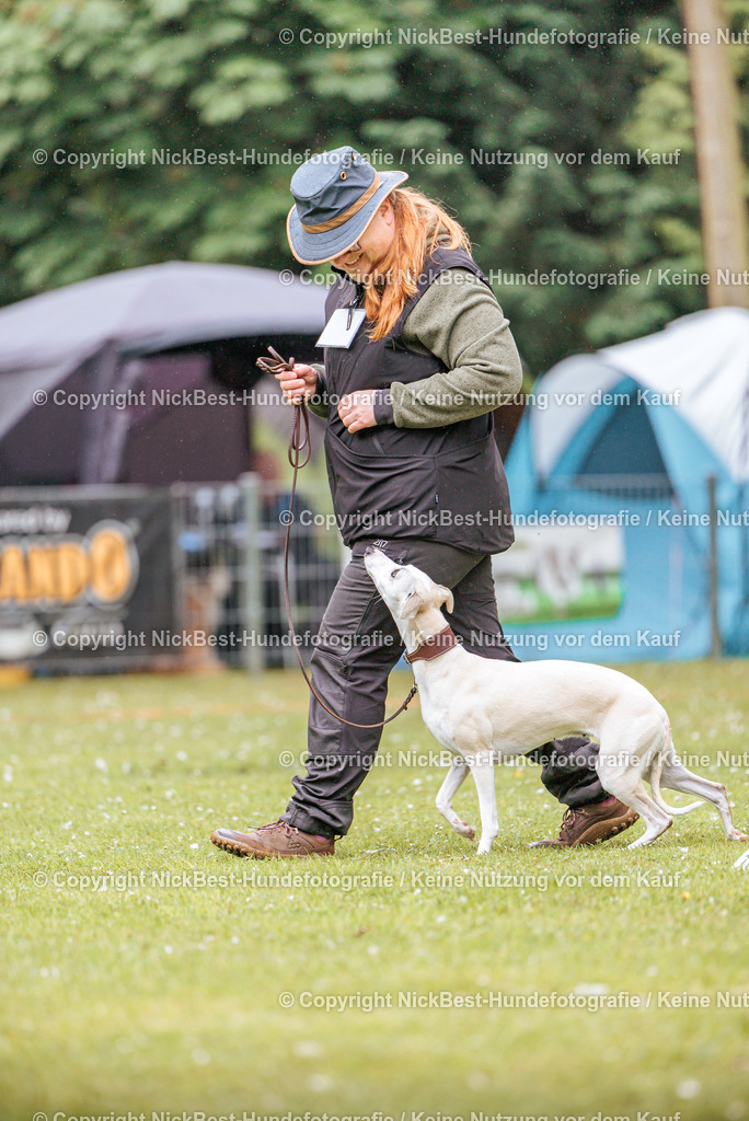 RO-Blumenthal-2026-Nickbest-Hundefotografie-0174 | Dein Hund! Dein Moment! Deine Erinnerungen! Hundefotografie in Bremen Blumenthal. Ich fange die besonderen Momente deines Vierbeiners ein – ob Indoor mit Blitzanlage oder in der freien Natur. Sicher dir dein Moment und dein Termin für eure Erinnerungen.
