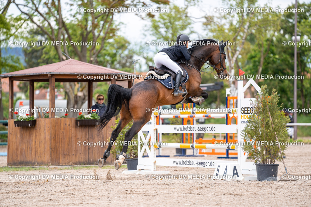 Eppelheim Tag 1-233 | dv-media-shop - Realisiert mit Pictrs.com