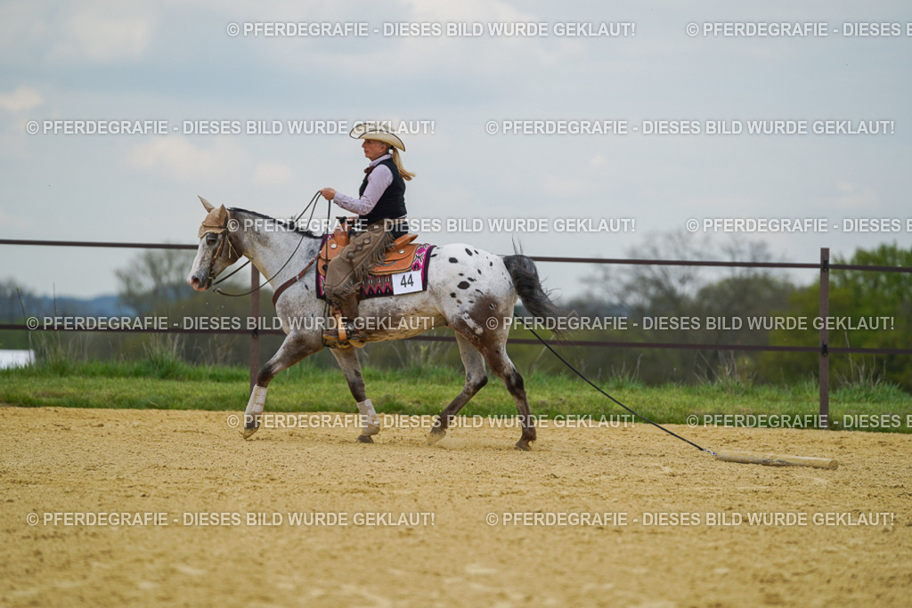DSC07062 | Pferdegrafie