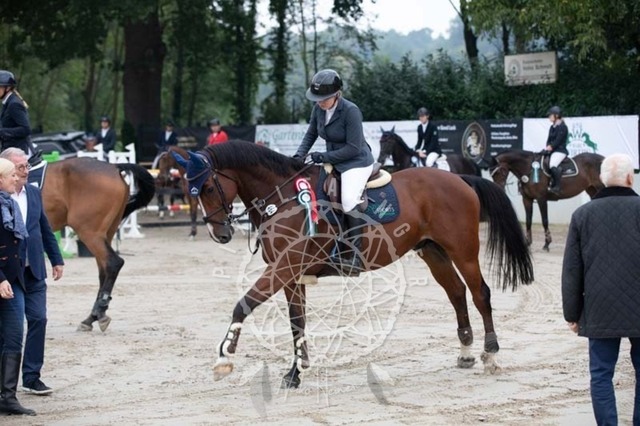 2B4A2717 | pixelfaenger - Realisiert mit Pictrs.com