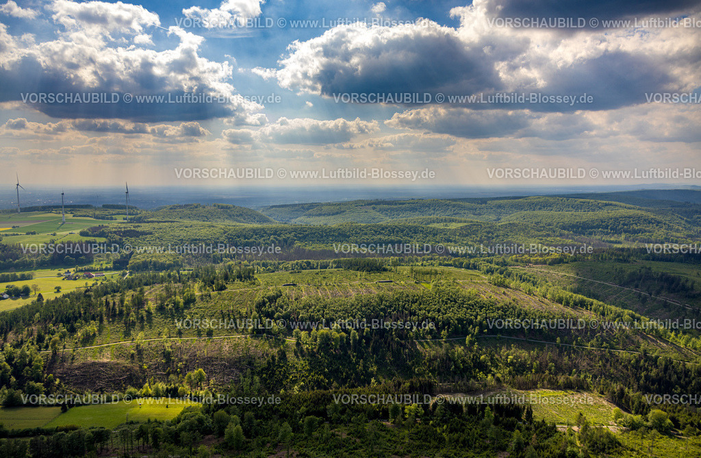 Horn-BadMeinberg240505861LippischerVelmerstot_TeutoburgerWald | Luftbild, Hügel und Täler Waldgebiet mit Waldschäden, Windräder und Fernsicht mit Himmel und Wolken, Teutoburger Wald, Leopoldstal, Horn-Bad Meinberg, Ostwestfalen, Nordrhein-Westfalen, Deutschland