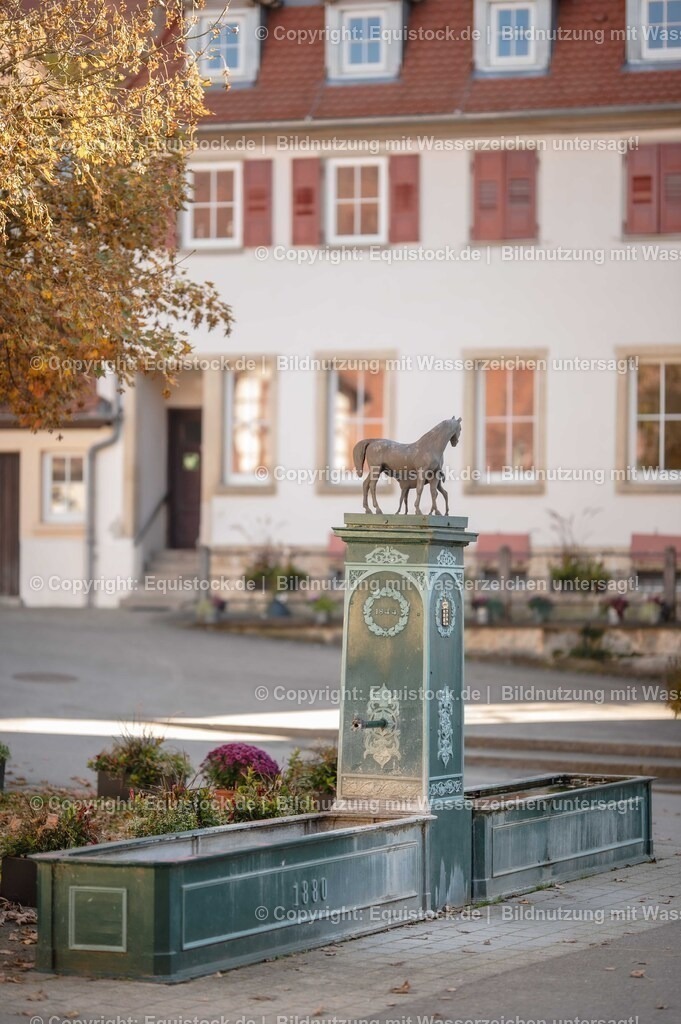 20251011_Jagd-Marbach_0002 | Foto: Thomas Hartig