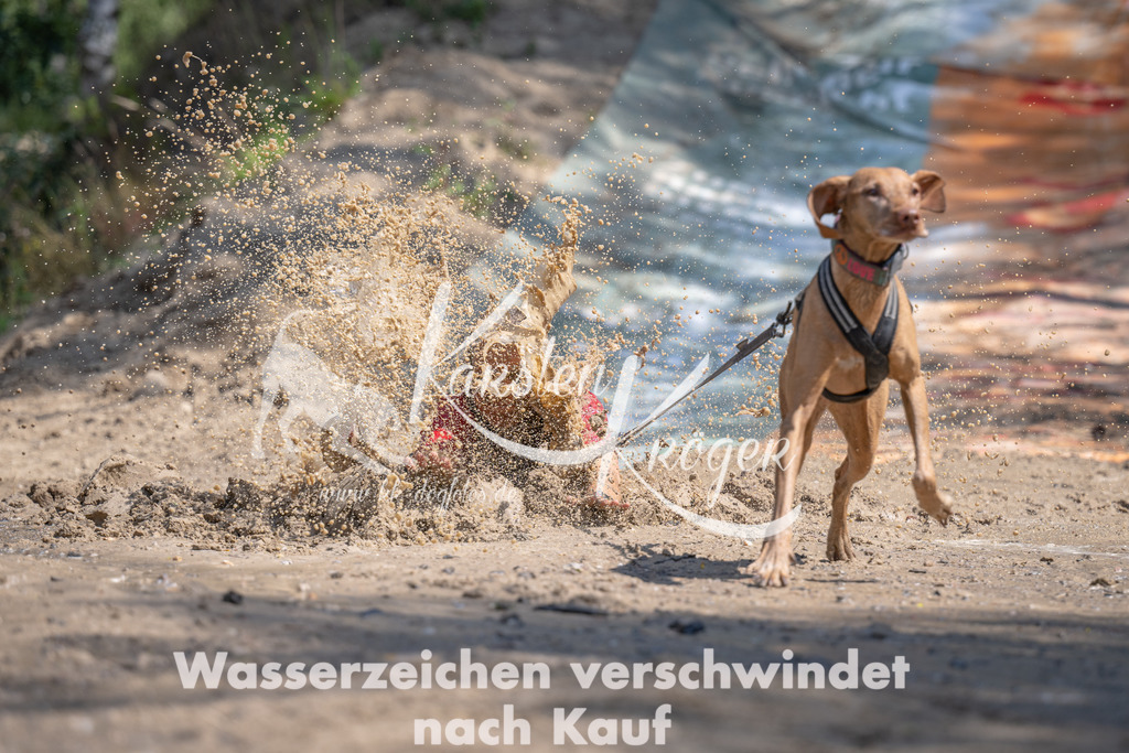 1157_ZZ90871 | kk-dogfotos