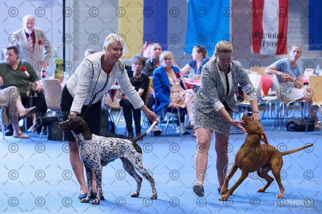 202406_ÖKV-IHA-Tulln24_DSC_4147 | proPHOTO - Realisiert mit Pictrs.com