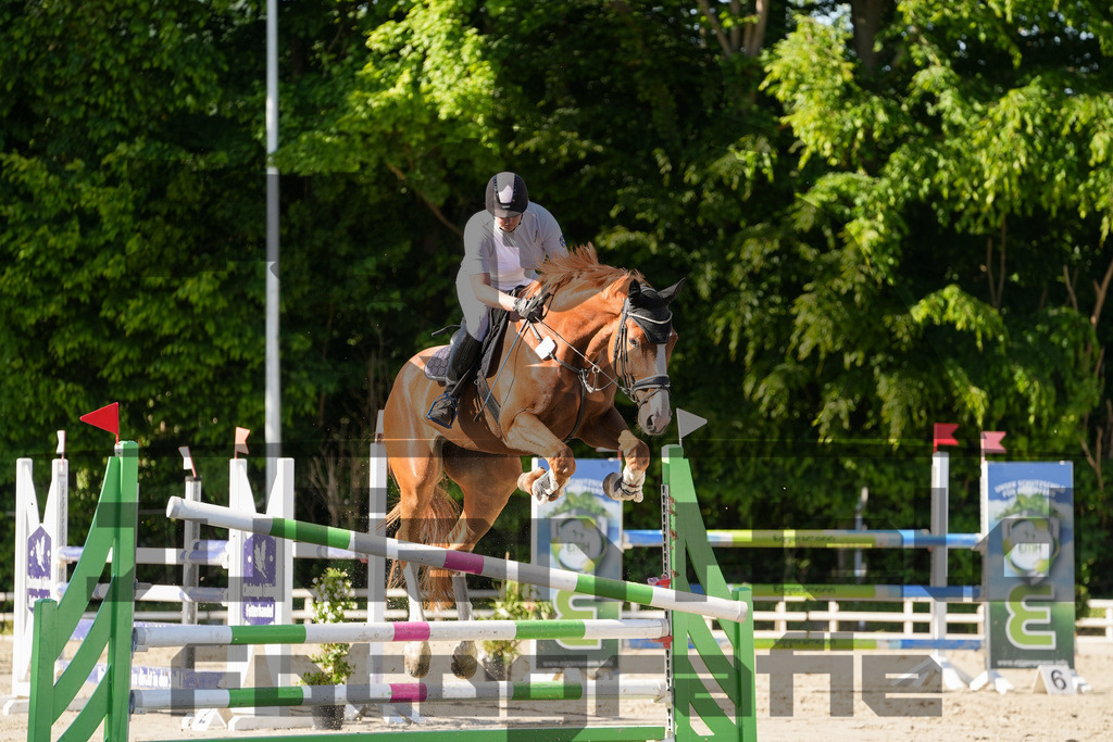 DSC02478 | Julian Held Fotografie - Realisiert mit Pictrs.com