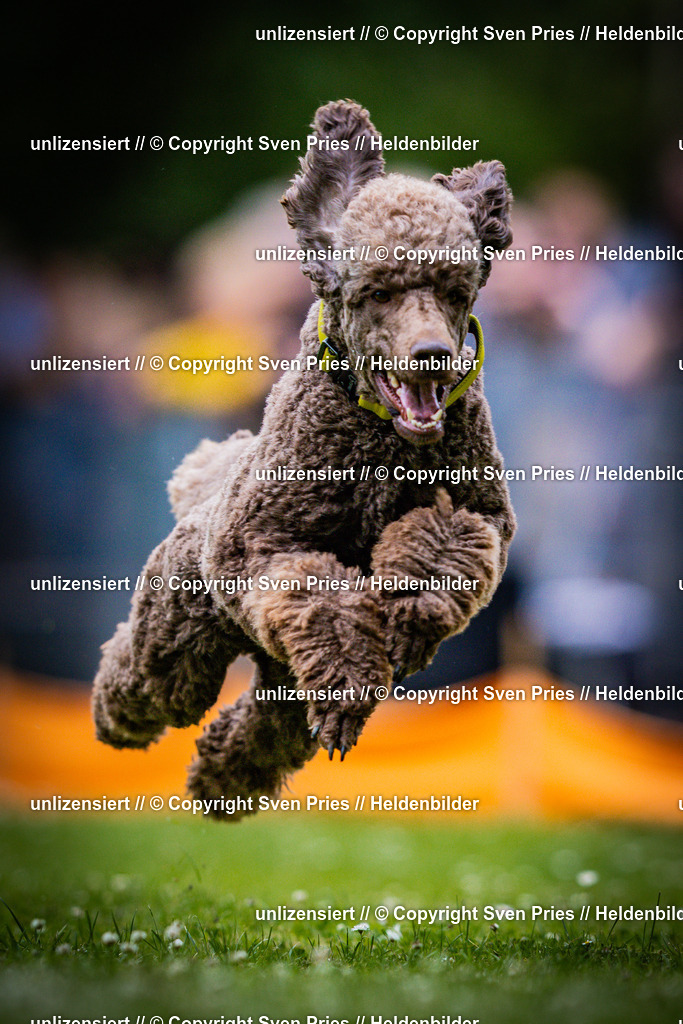 Sven Pries | 2025-05-29 - Pudelrennen KA-Durlach - Realisiert mit Pictrs.com