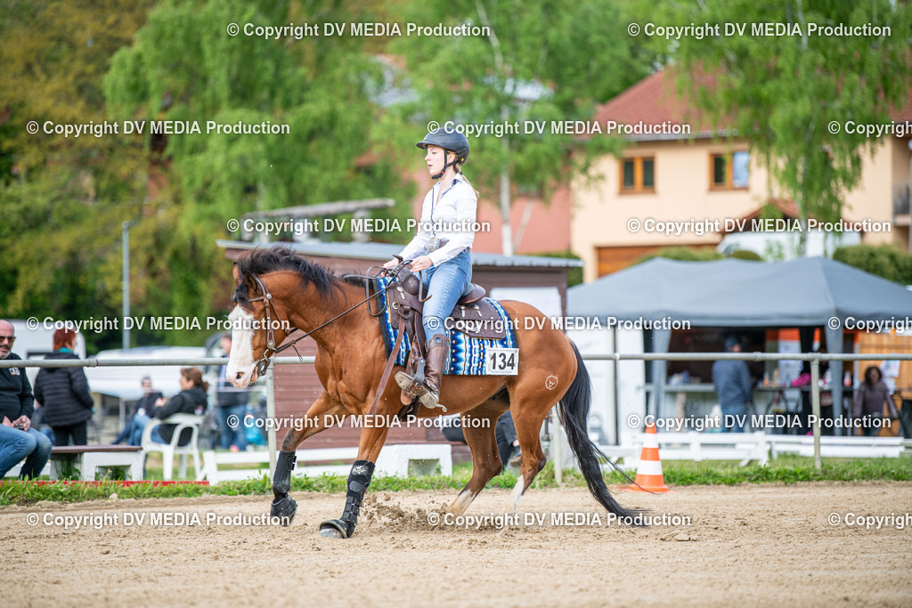 Heiligenwald Tag 1-2495 | dv-media-shop - Realisiert mit Pictrs.com