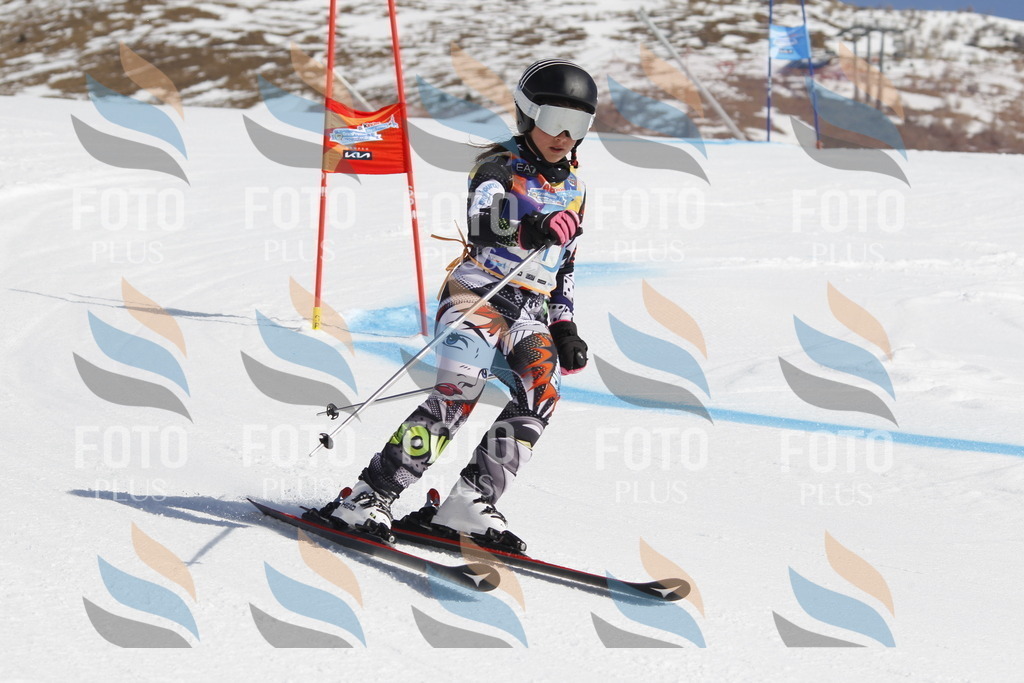 _U3G9848 | holidayphoto