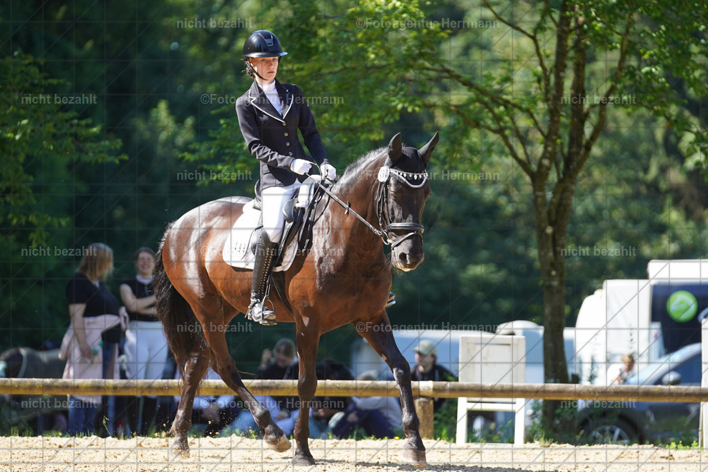 20240706-FAH04893 | Grafing Turnierfotos, Reitverein Ebersberg, Turnierfotografen Bayern, reitsportbilder, Pferdefotograf, reitsportfotograf, Sportbilder, Reitsportfotografie, Fotoagentur Herrmann, Turnierfotograf