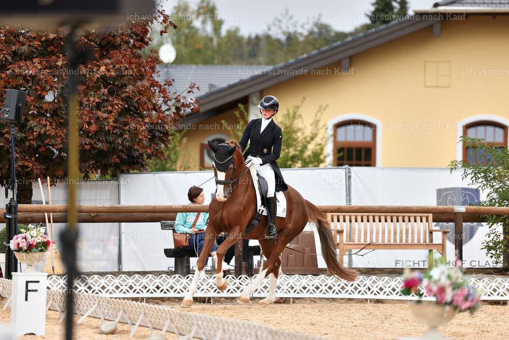 11-201-Dressur S___-StoibPH-955 | working equitationturnier fotograf videograf stoibphotography marixx film working equitation deutschland reitsport turnierfotografie eventfotografie equestrian events