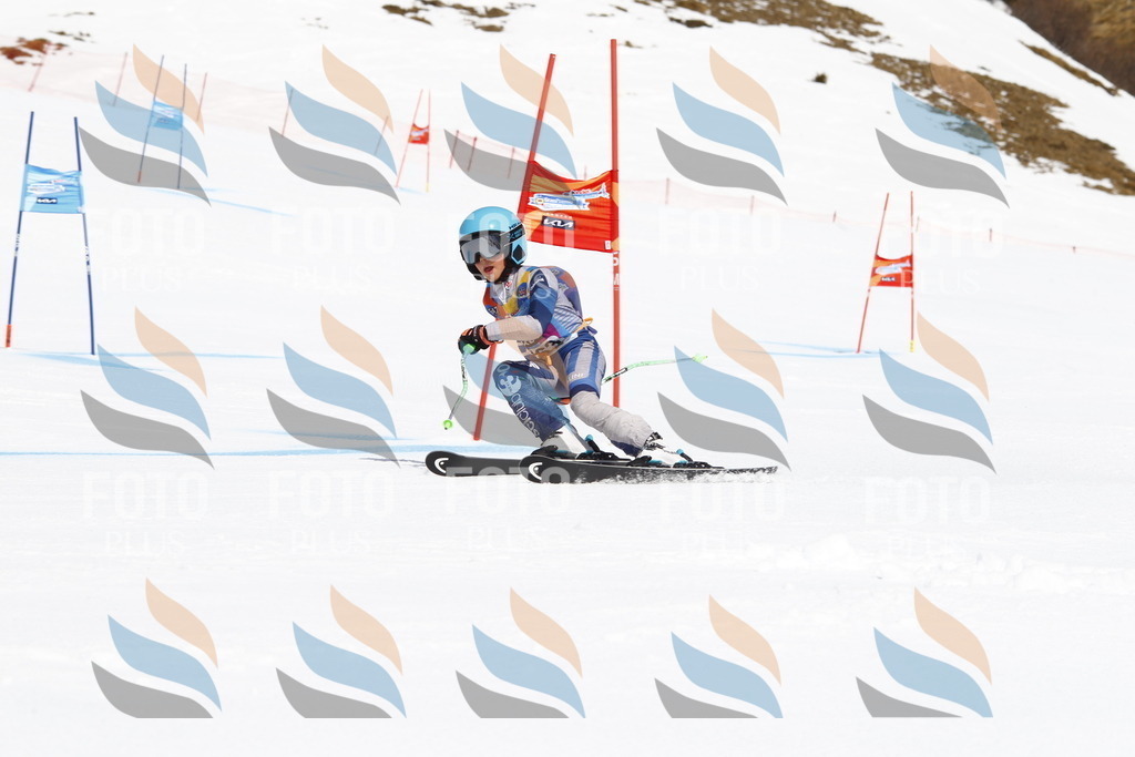 _U3G4396 | holidayphoto