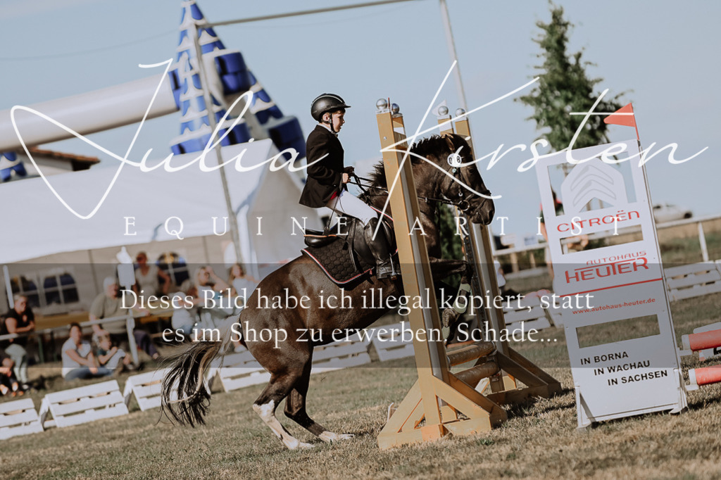 DSC_9465 | Pferde- und Turnierfotografie in Westsachsen. Pferdeportraits, Auftragszeichnungen und intuitive Kunst.