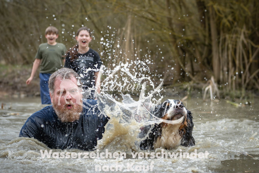 1541_ZZ93699 | kk-dogfotos