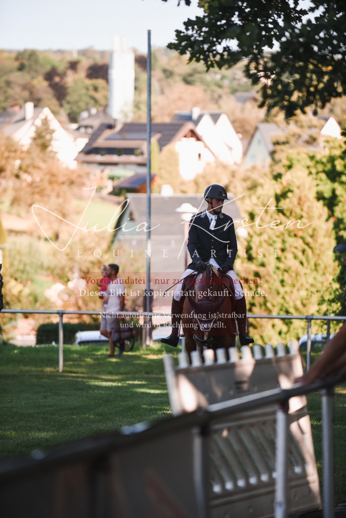 DSC_2135 | Pferde- und Turnierfotografie in Westsachsen. Pferdeportraits, Auftragszeichnungen und intuitive Kunst.