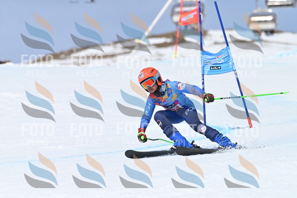 BGV_3365 | holidayphoto