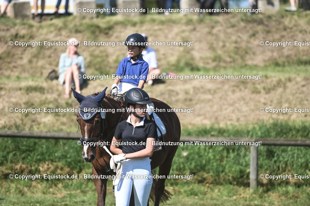 20230910_11-2_Führzügel-WB_0001 | Foto: Thomas Hartig